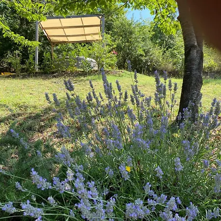 Casa Vaniglia - Fattoria La Speranza, Toscane, * אניירי